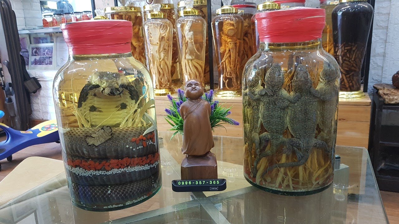 maxresdefaultâfafaf