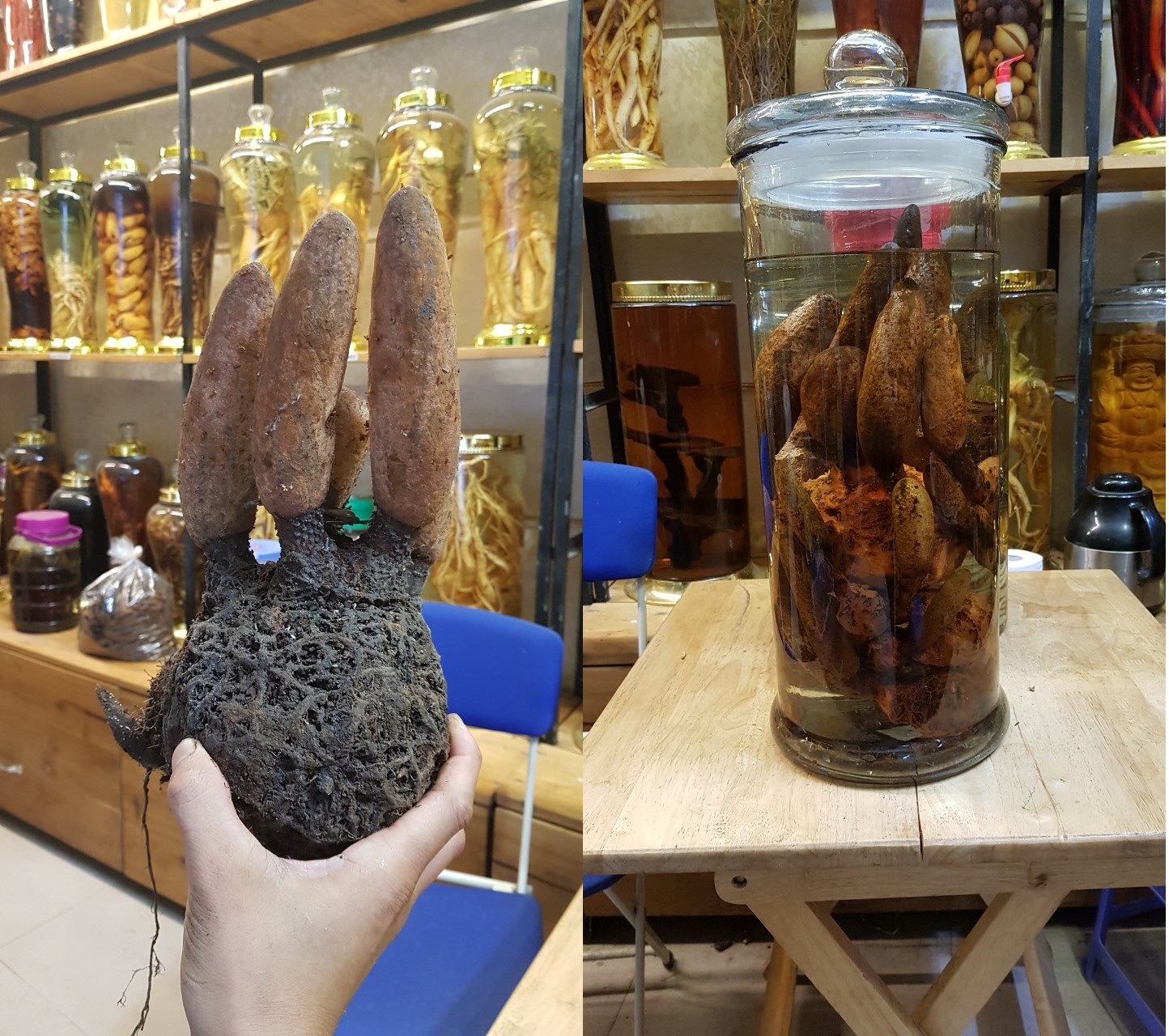 c1000b75ac6f4c31157e