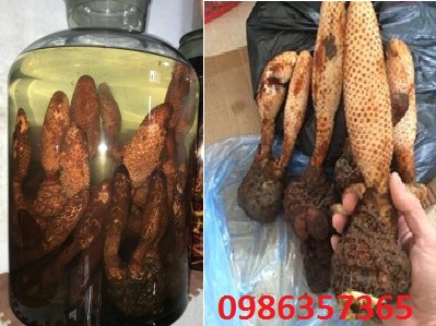 ruou-tich-duong-225x300