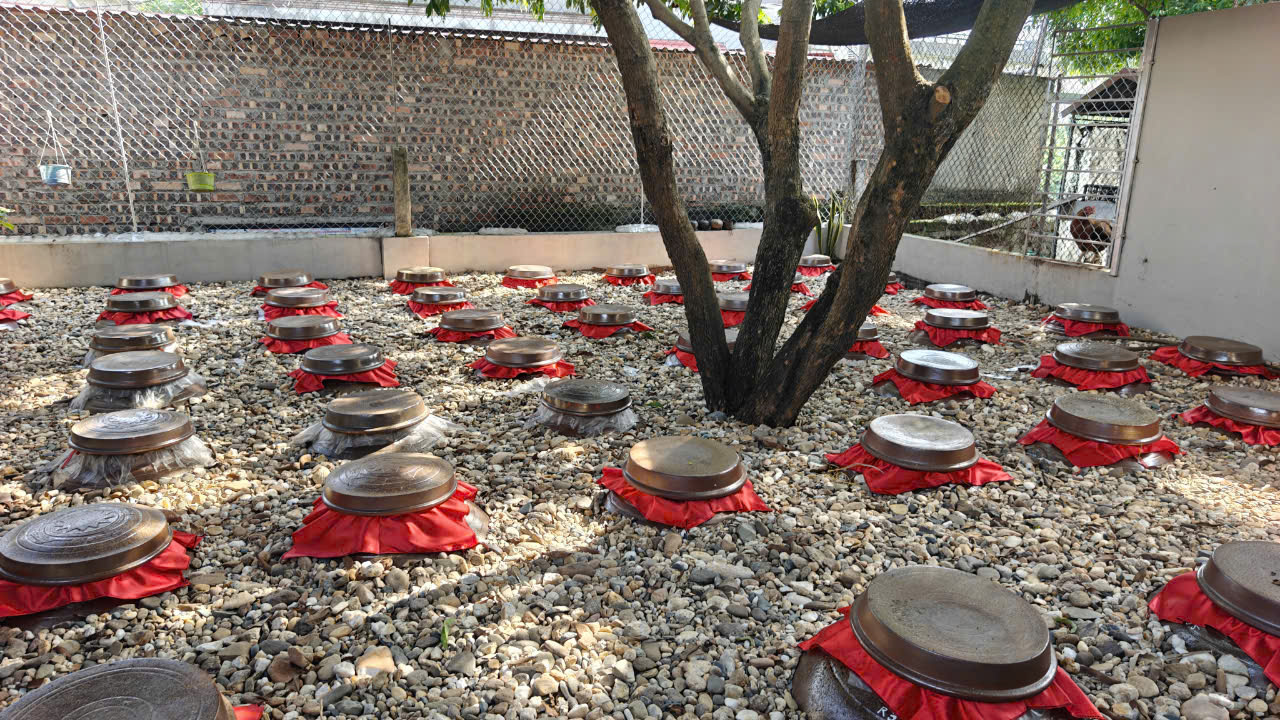 z5877289809181_10e37e404b74165db20cb3330a575a39